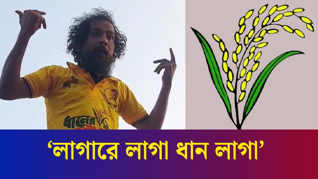 সবাই আনন্দে ভাসছে- বিএনপি সমর্থক রিকশাচালক
